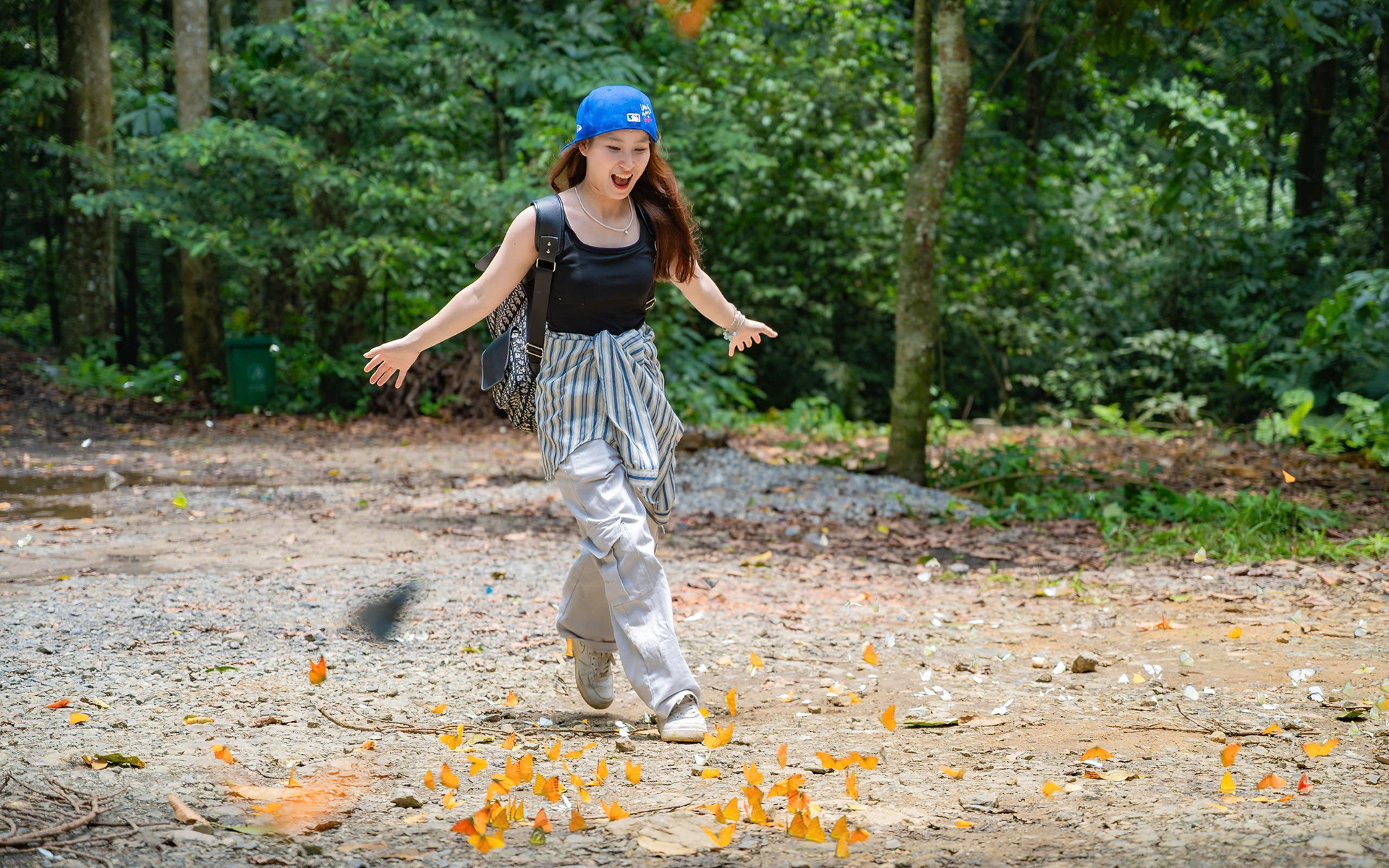 You are currently viewing Bướm bay rợp trời ở Cúc Phương đẹp miên man, giới trẻ đổ xô tới chụp ảnh