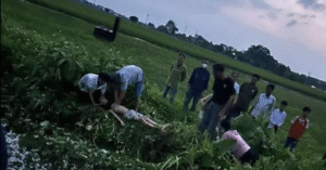 Read more about the article Bản tin chiều 14/5: Ba học sinh ở Hà Nội bị điện giật khi gỡ diều, 1 em tử vong