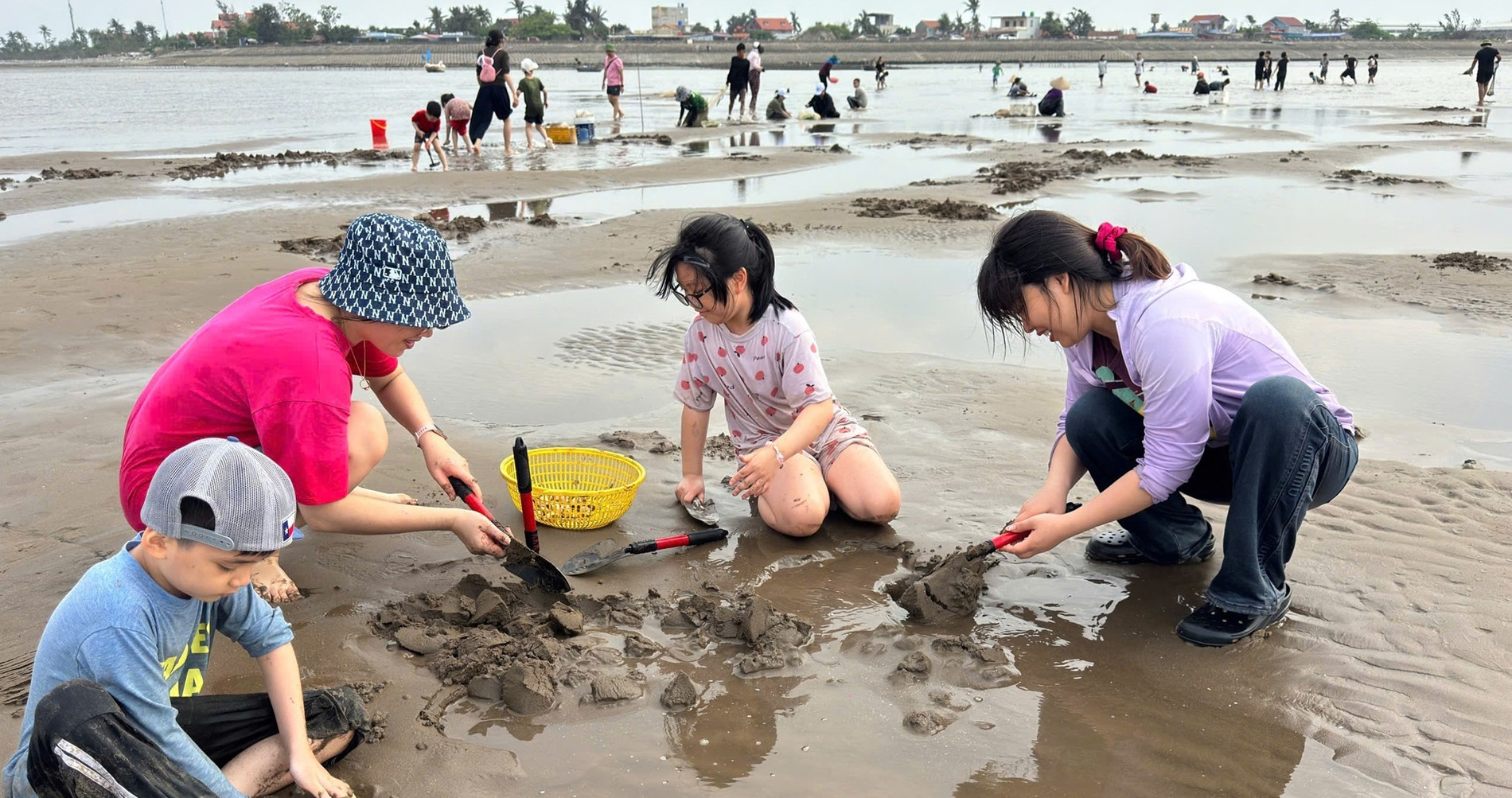 You are currently viewing Cảnh bất ngờ trên bãi cát ở Hải Phòng, hàng trăm người miệt mài đào báu vật