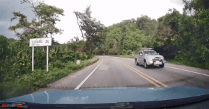 Read more about the article Video cây cổ thụ bật gốc đè nát ô tô, cú phanh thần kỳ cứu sống cả gia đình