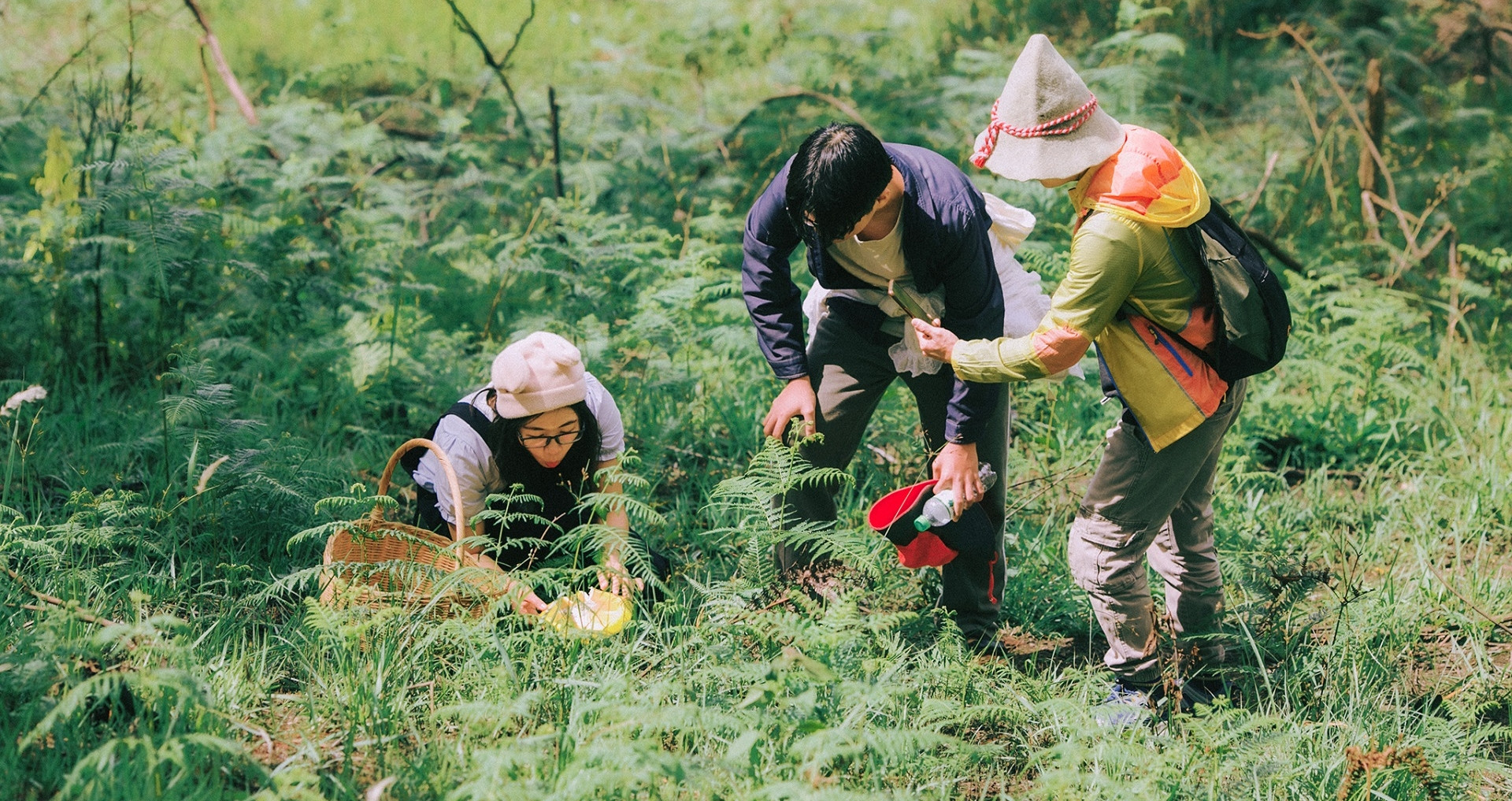 Read more about the article Đặc sản thơm ngon, chỉ mọc mùa mưa, khách đổ về rừng thông Đà Lạt săn lùng