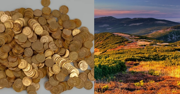 Read more about the article Đi tắt qua khu rừng, cặp đôi phát hiện kho báu trị giá hơn 9 tỷ đồng