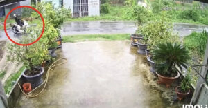 Read more about the article Đi xe máy va trúng dây điện đứt, 2 nam thanh niên tử vong