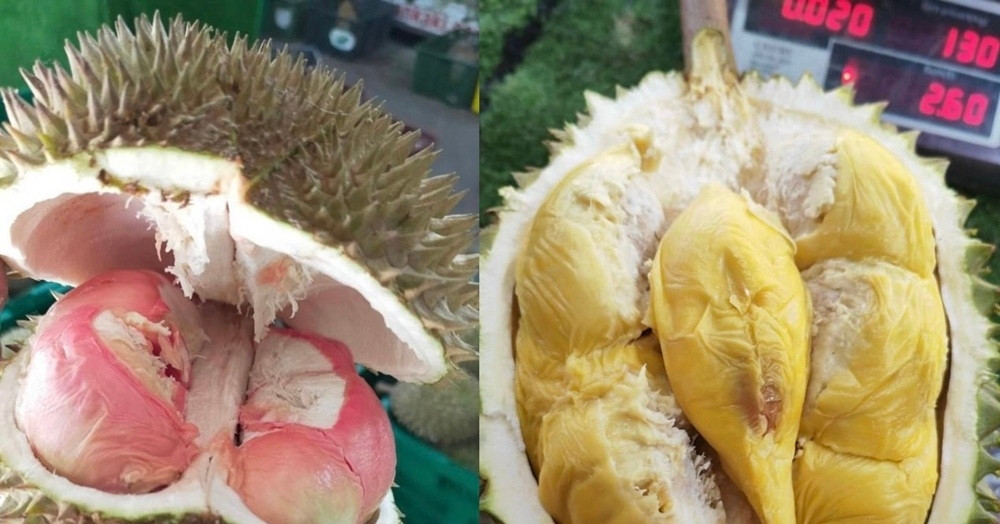 You are currently viewing Loại sầu riêng mới giá lên tới gần 800.000 đồng/kg gây sốt