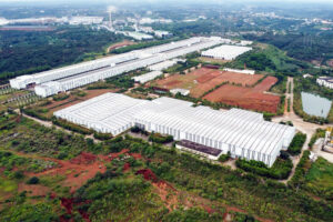 Read more about the article Tỉnh có ‘kho báu’ lớn nhất nước muốn giữ lại 50% nguồn thu từ khoáng sản