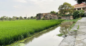 Read more about the article Lưu ý quan trọng khi người dân muốn xây nhà trên đất nông nghiệp