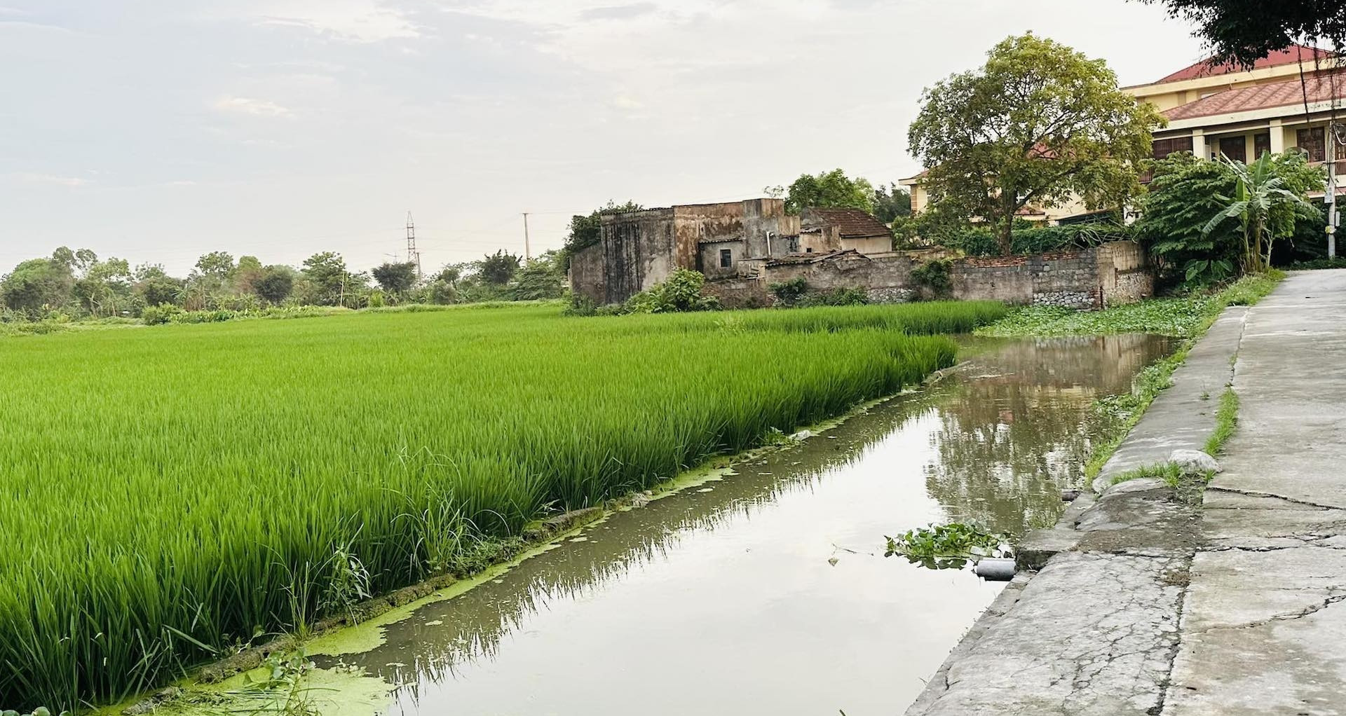 You are currently viewing Lưu ý quan trọng khi người dân muốn xây nhà trên đất nông nghiệp