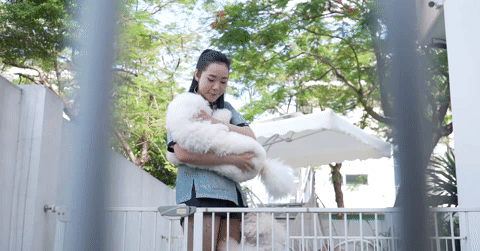 You are currently viewing Mê giống chó “bông tuyết”, người chơi ‘xuống tiền’ cả trăm triệu đồng