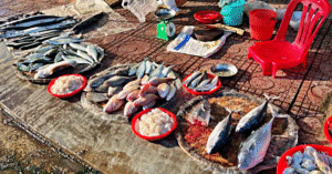 Read more about the article Mẹ mù chữ, bán cá ở chợ, nhưng dạy tôi những bài học vô giá