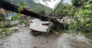 Read more about the article Mưa dông trút xuống TP Hòa Bình, cây đa cổ thụ bật gốc đè bẹp ô tô chở 4 người