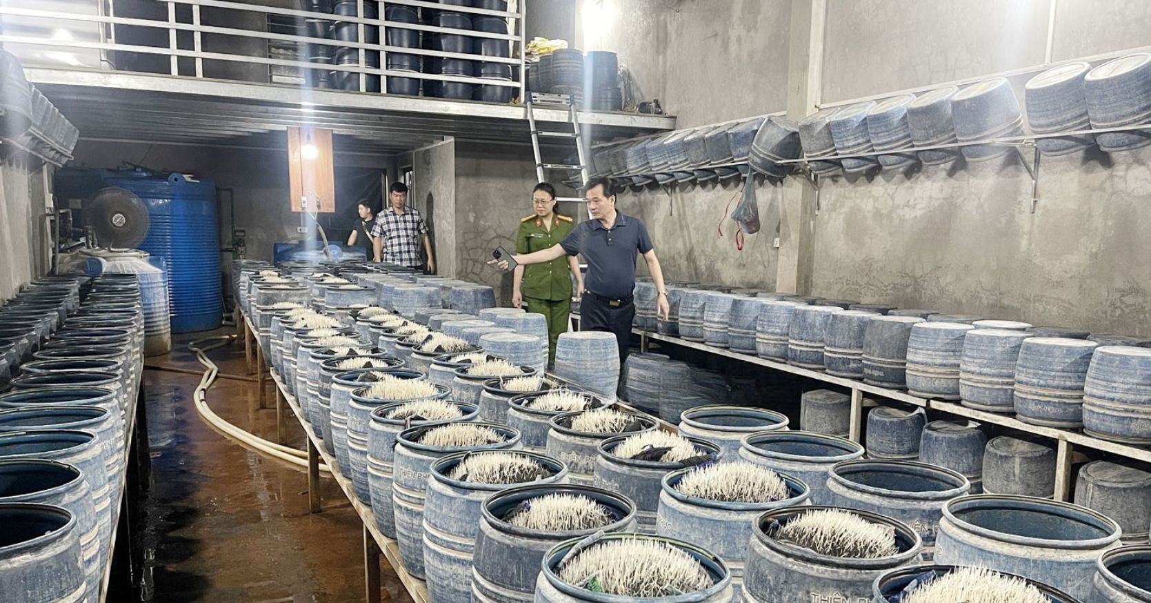 You are currently viewing Ngâm ủ giá đỗ bằng chất cấm pha nước vôi rồi tuồn ra thị trường gần 350 tấn