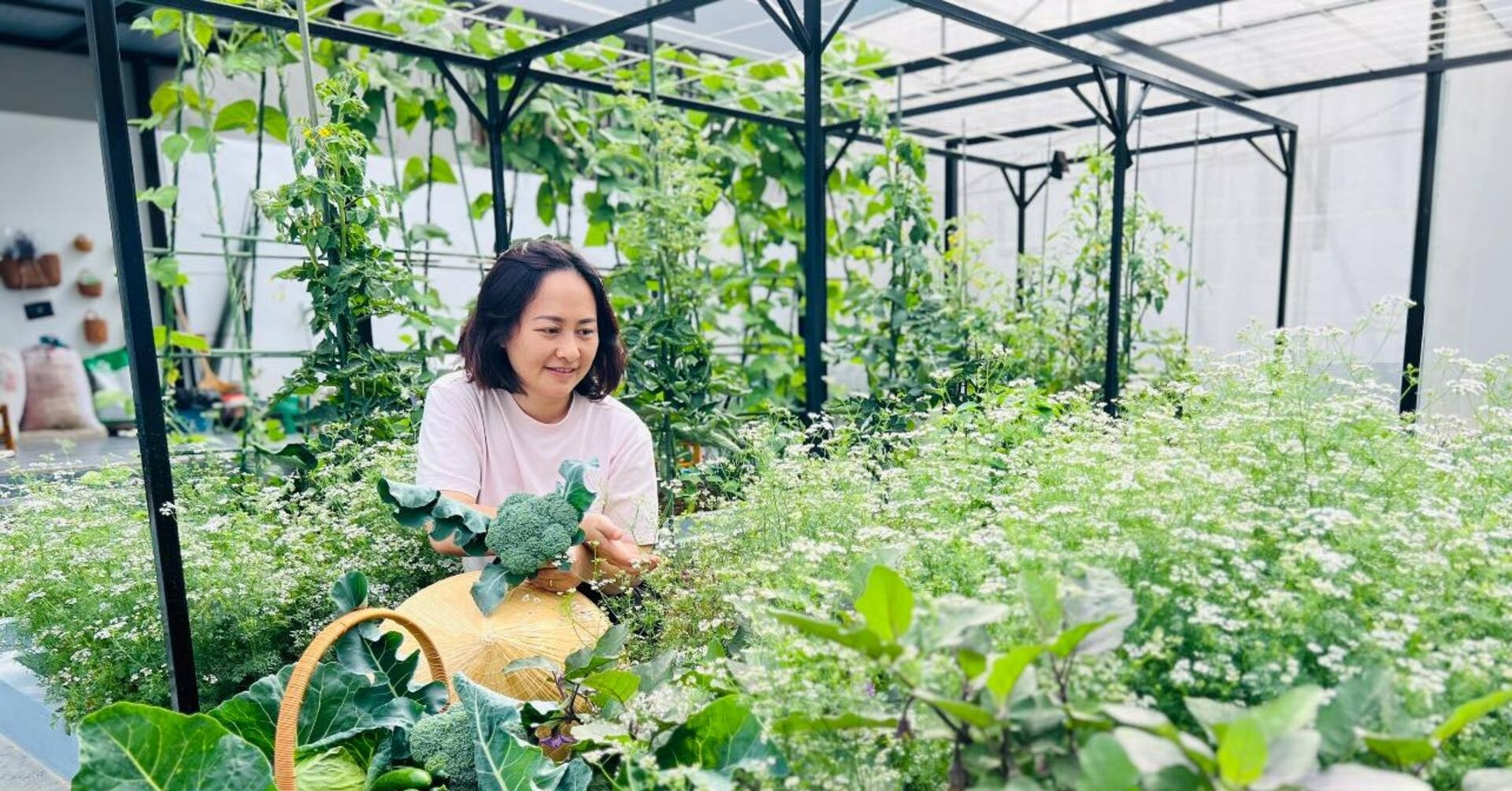 You are currently viewing Người phụ nữ ở Sơn La biến khu đất 200m2 ngập rác thành vườn sum sê rau trái