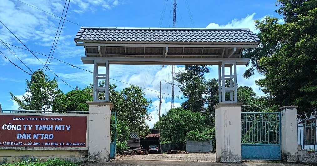 You are currently viewing Phó giám đốc công ty lâm nghiệp bị đánh gãy xương sườn khi kiểm tra rừng