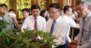 Read more about the article Đưa Quảng Nam trở thành trung tâm công nghiệp dược liệu