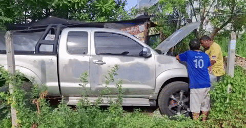 You are currently viewing Trăn khổng lồ ngoe nguẩy trong khoang động cơ xe bán tải