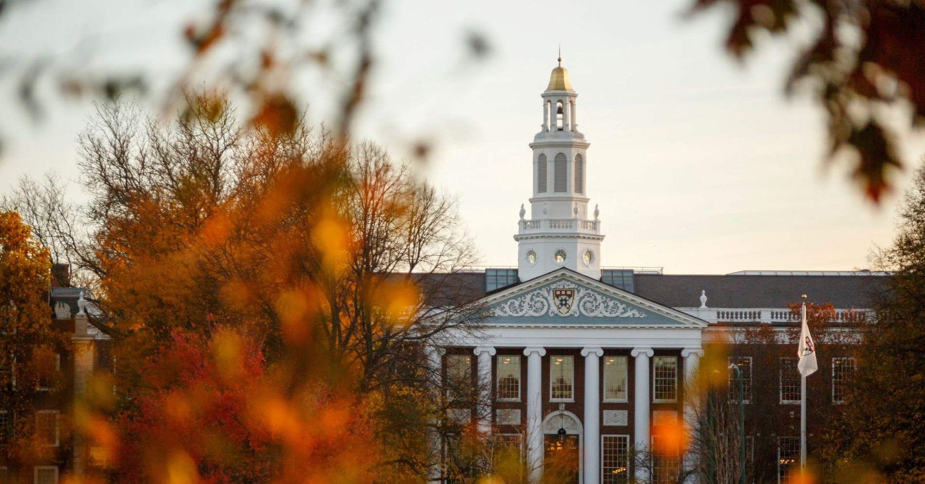 You are currently viewing Trường đại học nào giàu nhất thế giới?