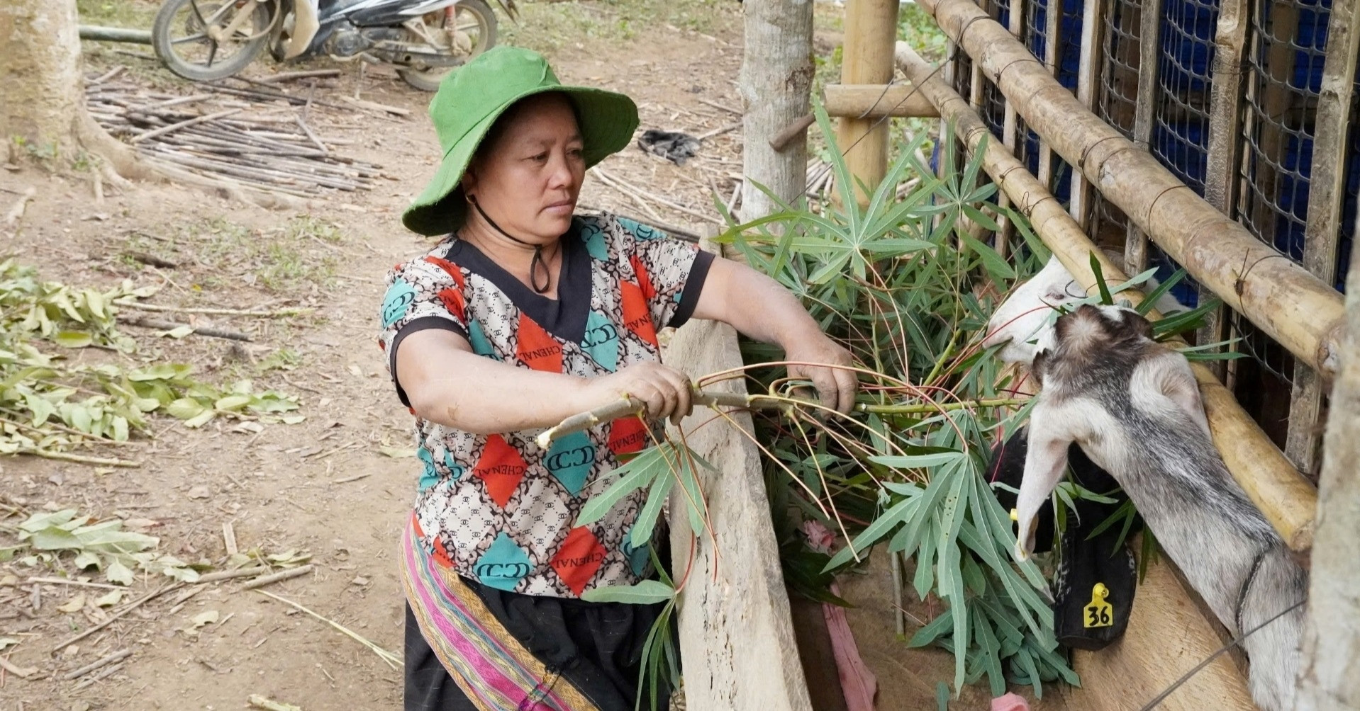 You are currently viewing Xã đầu tiên của huyện biên giới Mường Lát về đích nông thôn mới