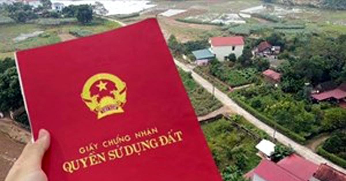 Read more about the article Sự thật khiến nhiều người bất ngờ