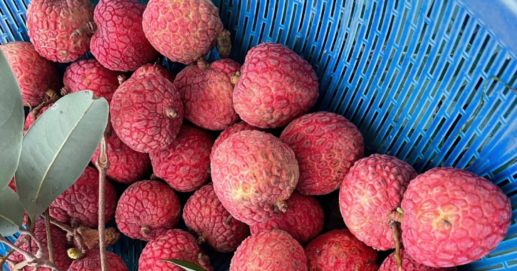 Read more about the article Quả vải giúp phòng bệnh tim mạch nhưng 7 nhóm người không nên ăn