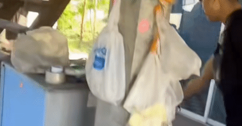 You are currently viewing 9 triệu người xem video cụ bà đu lên xà nhà khi trông thấy rắn