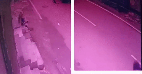 You are currently viewing Bị đàn chó hoang truy đuổi, 2 thiếu niên gặp tai nạn kinh hoàng trước đầu xe tải