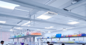 Read more about the article Cách các công ty dược phẩm đào tạo AI cho nhân viên 