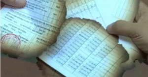 Read more about the article Chi tiết quy định về tiêu huỷ tài liệu của cơ quan nhà nước