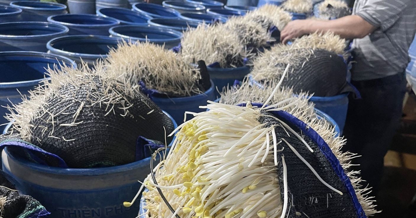 You are currently viewing Cẩn bổ sung hành vi nghiêm cấm liên quan hóa chất vượt ngưỡng