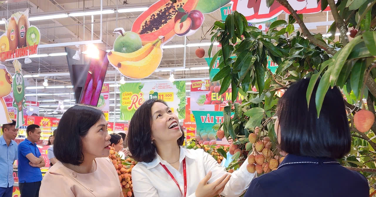 Read more about the article Đặc sản vải Thanh Hà có mặt tại các hệ thống siêu thị ở Hải Phòng