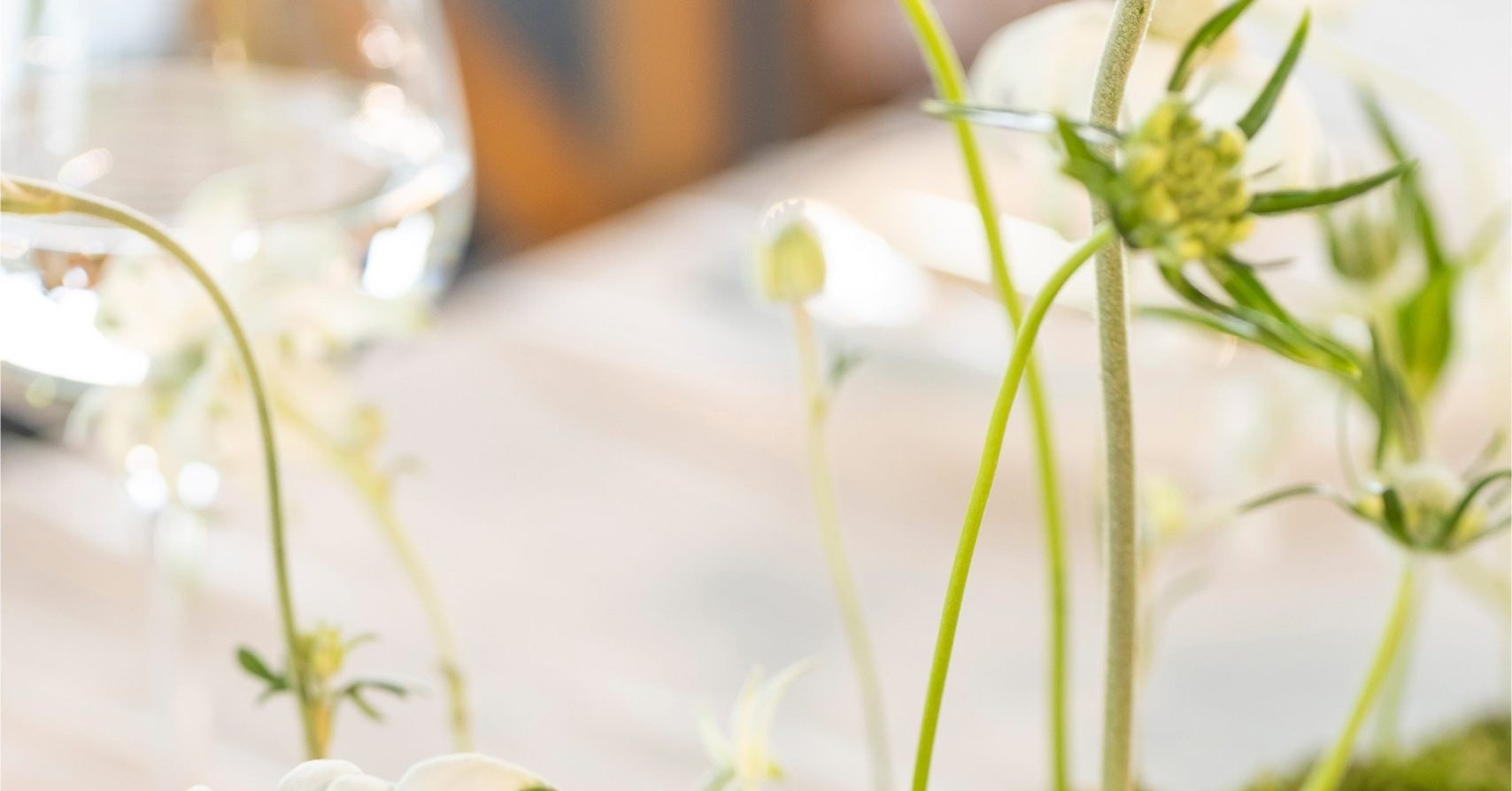 You are currently viewing Đại Cát Quang Yến – Khẩu vị của lòng biết ơn