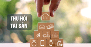 Read more about the article Ý kiến về việc thu hồi tài sản không qua kết án 