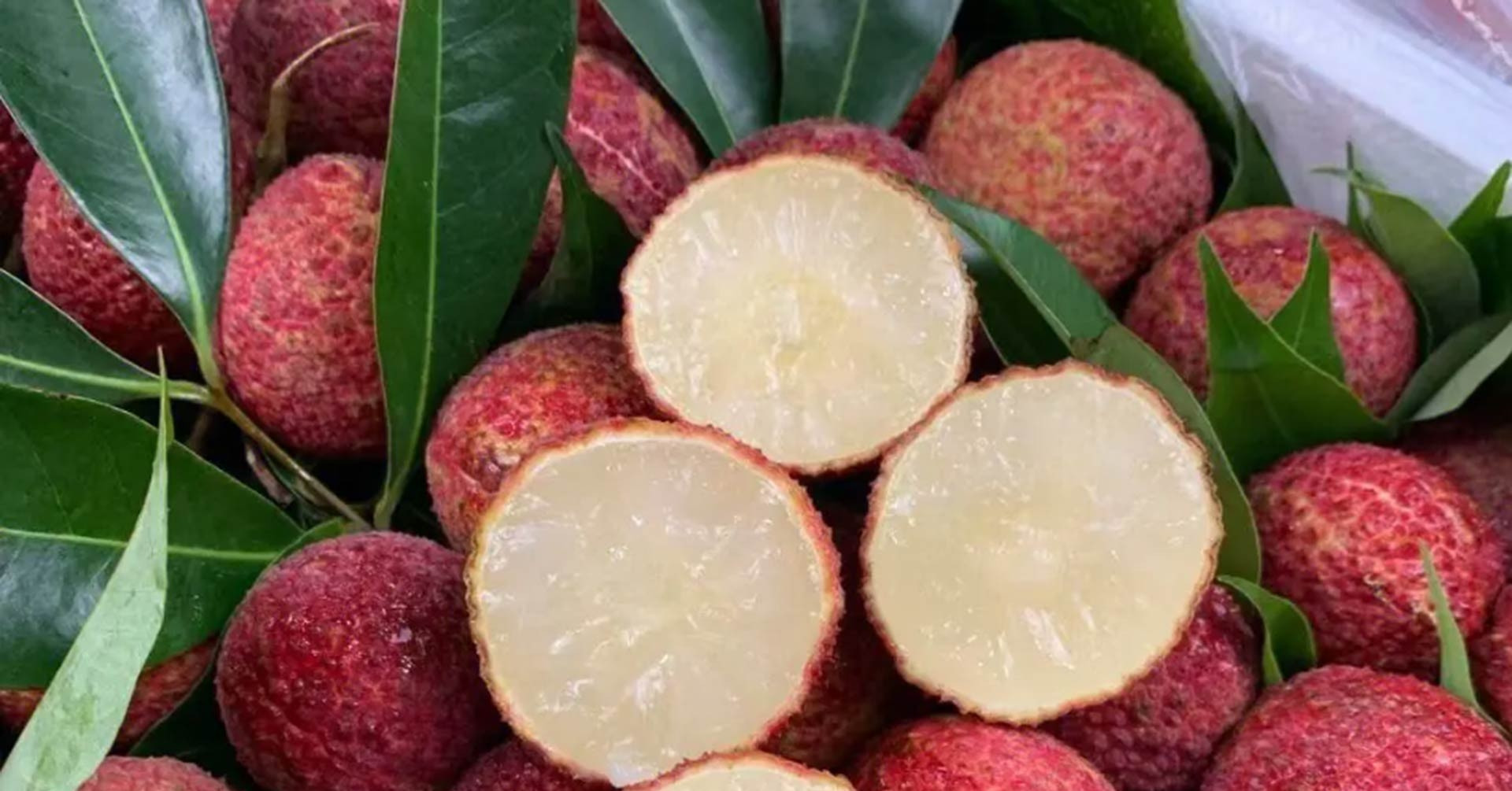 You are currently viewing Vải không hạt Trung Quốc được trồng như nào mà về Việt Nam giá 700.000 đồng/kg?