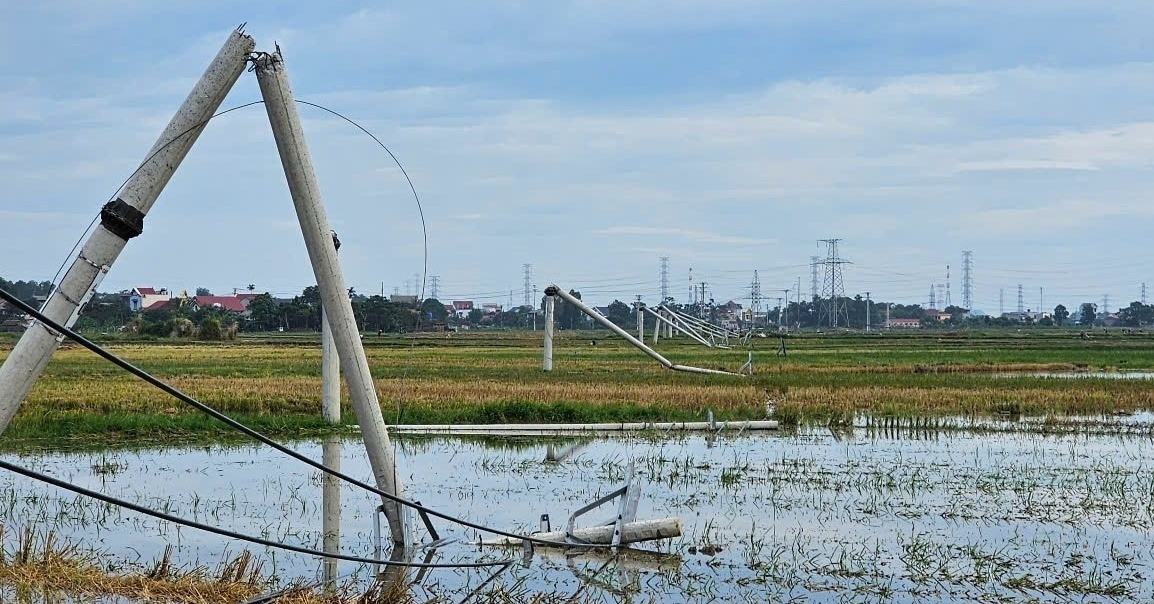 Read more about the article Loạt cột điện gãy đôi sau một cơn giông ở Thanh Hóa