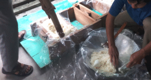 Read more about the article Món ngon trong mâm cỗ ở Nam Định làm tốn sức, chia túi cả cân cho khách mang về