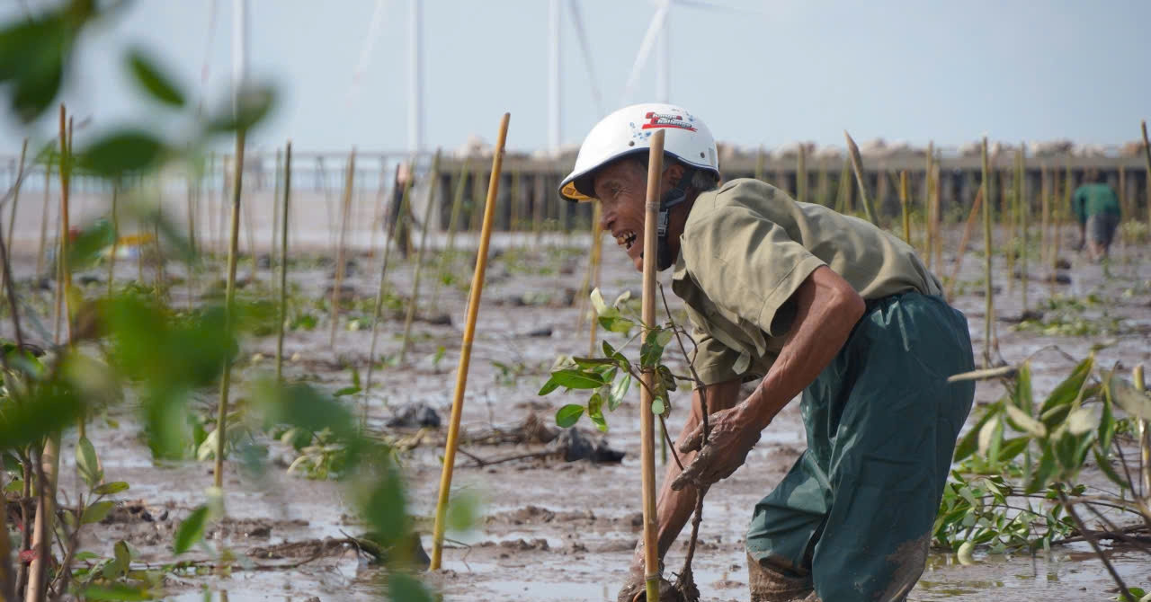 You are currently viewing Net Zero – Ai mới thật sự nợ ai?