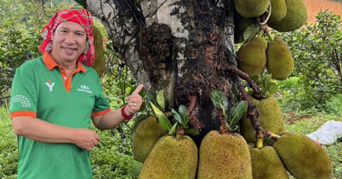You are currently viewing Nghệ sĩ Quang Thắng khoe ‘gia tài’, Việt Hương và chồng hôn