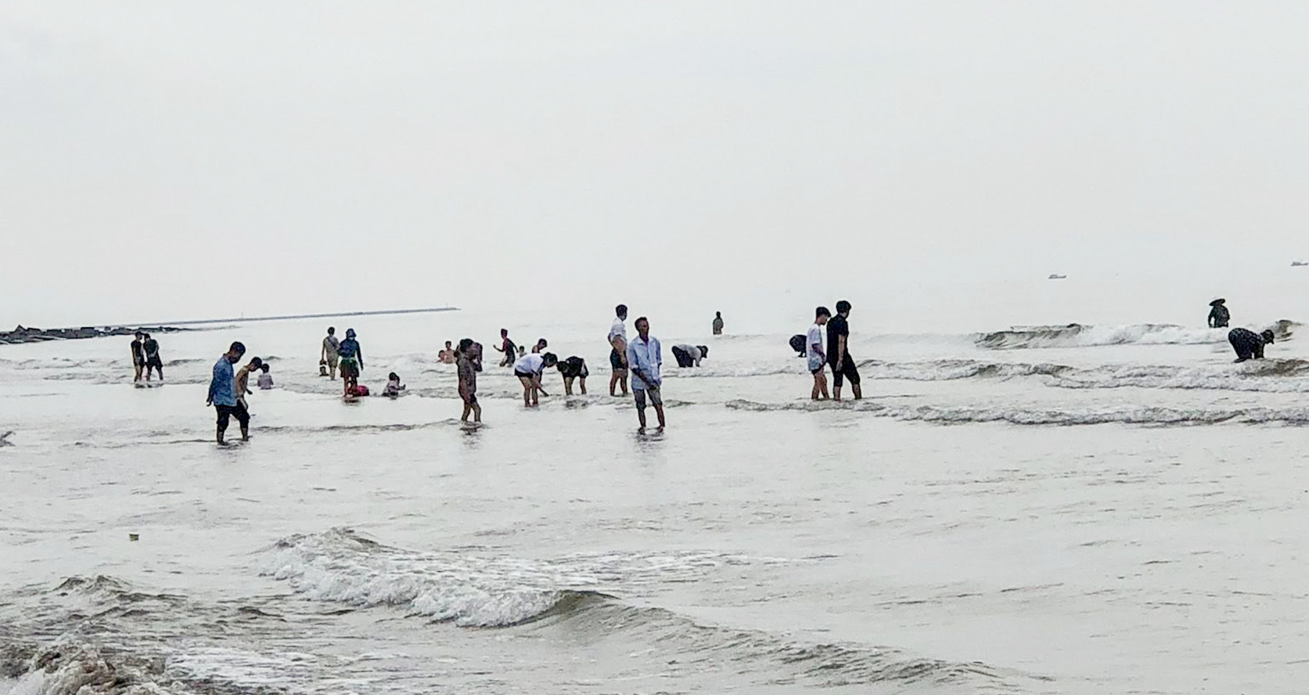 Read more about the article Người dân Nam Định đổ xô đi cào ‘lộc biển’ kiếm tiền triệu