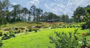 Read more about the article Những lưu ý quan trọng khi làm homestay trên đất nông nghiệp