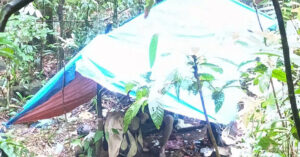 Read more about the article Phát hiện thi thể người đàn ông trong rừng sâu ở Lâm Đồng