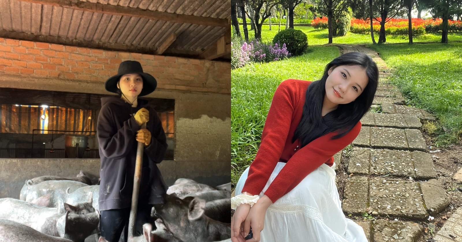 Read more about the article Rời TPHCM về quê nuôi 200 con lợn, cô gái Lâm Đồng lột xác bất ngờ