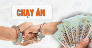 Read more about the article Tiếp tục mở rộng điều tra