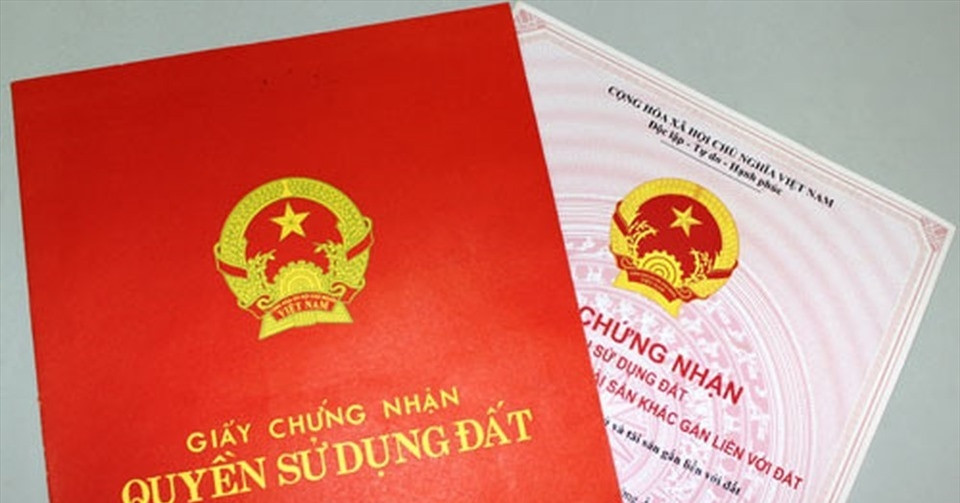 Read more about the article Sổ đỏ hộ gia đình, con dâu từng góp tiền sửa nhà có được chia thừa kế không?