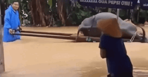 Read more about the article ‘Sống ở Hội An mấy chục năm, lần đầu tôi thấy ngập giữa mùa hè’