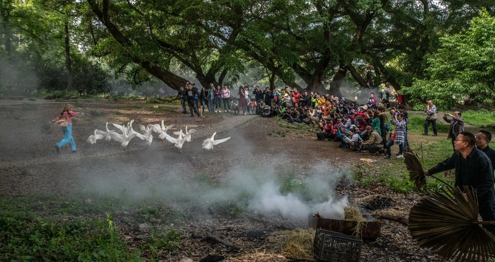 You are currently viewing Sự thật sau cảnh đồng quê ở làng du lịch sống ảo
