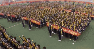 Read more about the article Kỷ luật quân đội, uống thuốc và truyền dịch