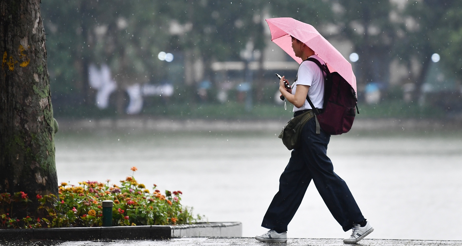 You are currently viewing Mưa giông nhiều vào chiều tối, sau lại nắng gắt