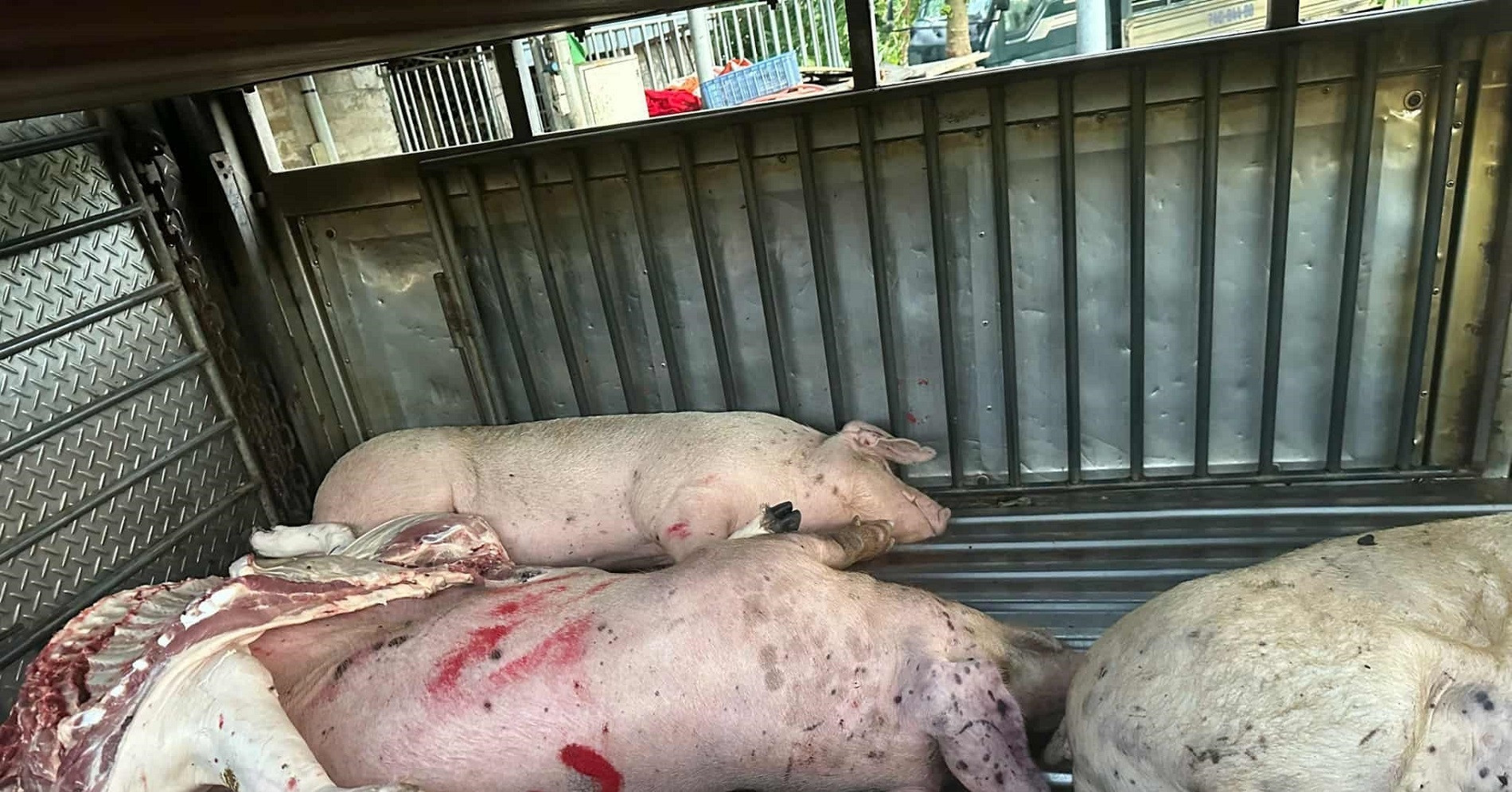 You are currently viewing Tình tiết mới vụ C.P. Việt Nam; ngân hàng cho nhân viên nghỉ sớm chiều thứ Sáu