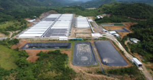 Read more about the article Trang trại lợn ở Thanh Hóa tiếp tục phát tán mùi hôi thối sau khi tăng đàn