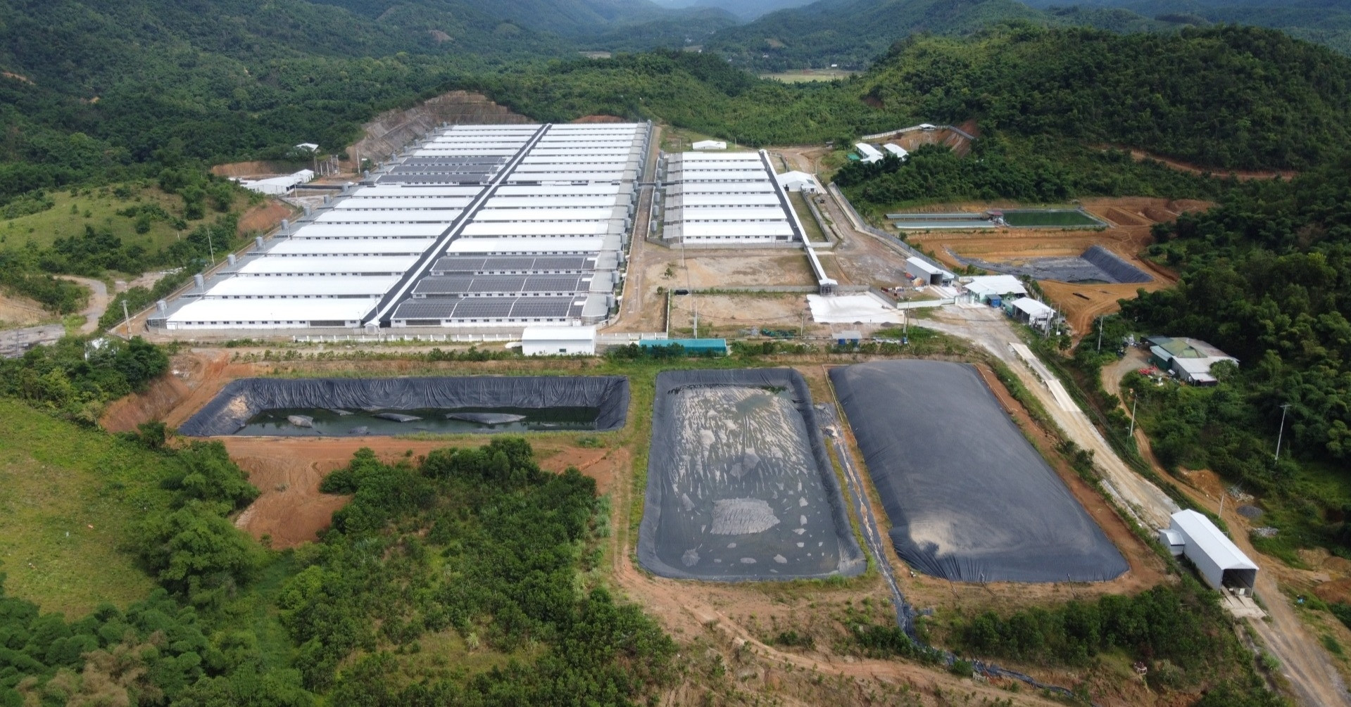 You are currently viewing Trang trại lợn ở Thanh Hóa tiếp tục phát tán mùi hôi thối sau khi tăng đàn