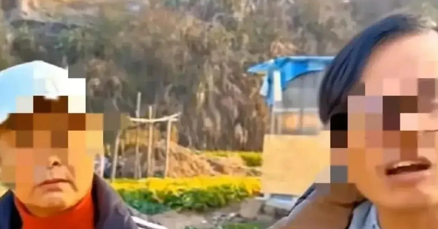 You are currently viewing Trộm rau nấu ăn khiến cháu nhập viện, bà lão đòi chủ vườn 36 triệu đồng